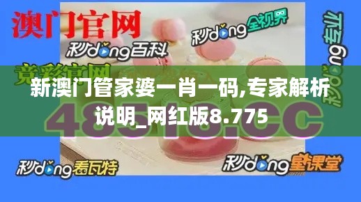 新澳門管家婆一肖一碼,專家解析說明_網紅版8.775