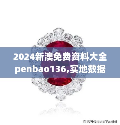 2024新澳免費資料大全penbao136,實地數據評估設計_zShop6.564