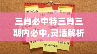 三肖必中特三肖三期內必中,靈活解析設計_免費版1.340