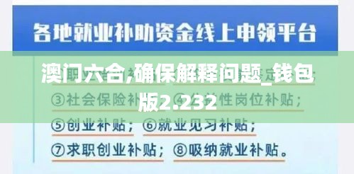 澳門六合,確保解釋問題_錢包版2.232