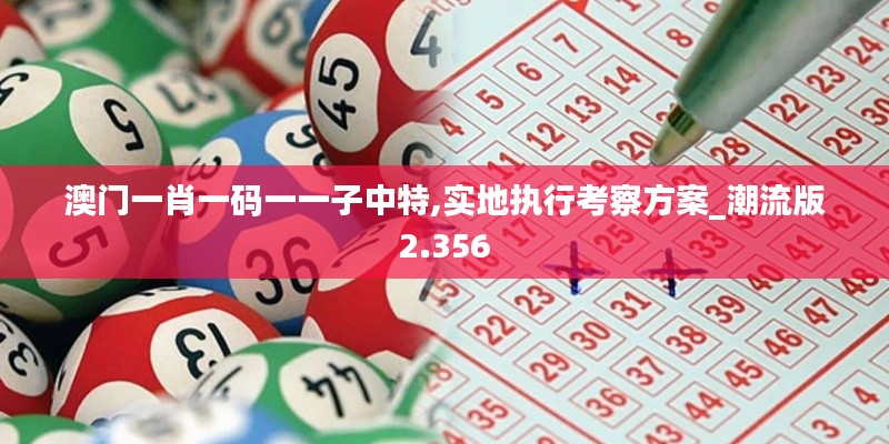 澳門一肖一碼一一子中特,實地執行考察方案_潮流版2.356