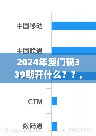 2024年澳門碼339期開什么？？,數(shù)據(jù)導(dǎo)向解析計劃_網(wǎng)紅版2.449