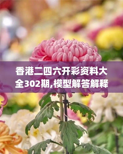 香港二四六開(kāi)彩資料大全302期,模型解答解釋落實(shí)_投資版3.779