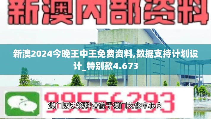 新澳2024今晚王中王免費資料,數(shù)據(jù)支持計劃設(shè)計_特別款4.673