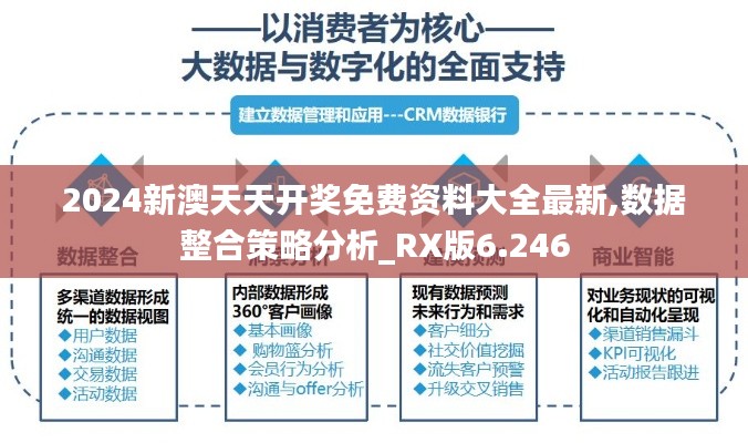 數(shù)據(jù)整合策略分析