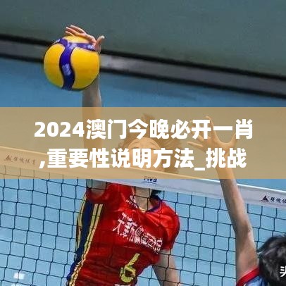 2024澳門今晚必開一肖,重要性說明方法_挑戰(zhàn)款4.313