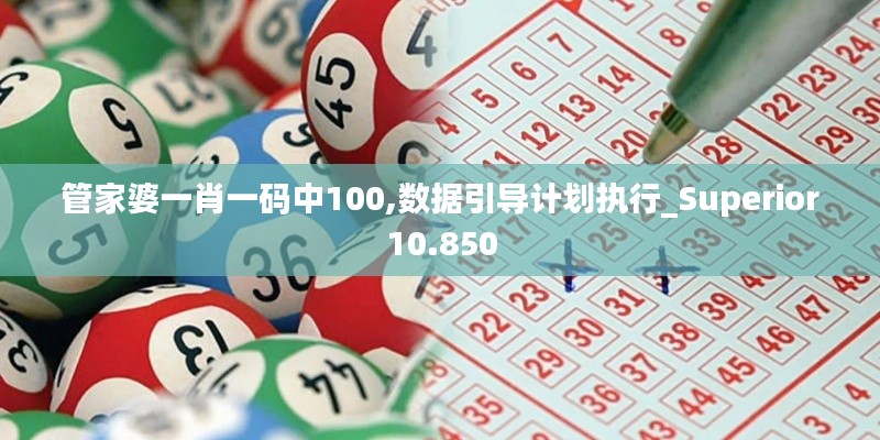 管家婆一肖一碼中100,數據引導計劃執行_Superior10.850