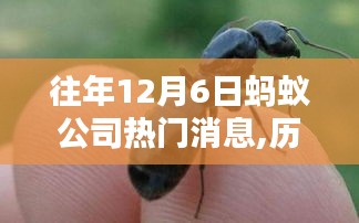 歷年12月6日科技巨浪掀起，螞蟻公司熱門消息大盤點