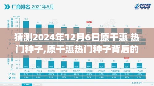 揭秘原干惠熱門種子背后的故事，回顧與預測至2024年12月6日的影響與展望