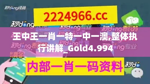 王中王一肖一特一中一澳,整體執行講解_Gold4.994