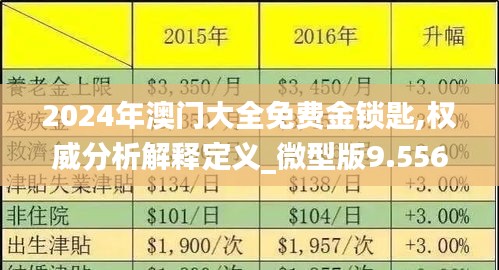 2024年澳門大全免費(fèi)金鎖匙,權(quán)威分析解釋定義_微型版9.556