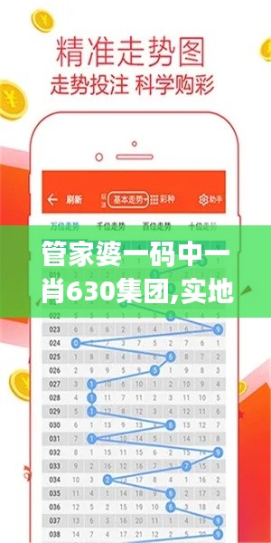 管家婆一碼中一肖630集團,實地數據驗證分析_進階版11.219