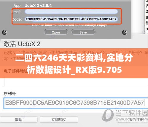 二四六246天天彩資料,實地分析數據設計_RX版9.705