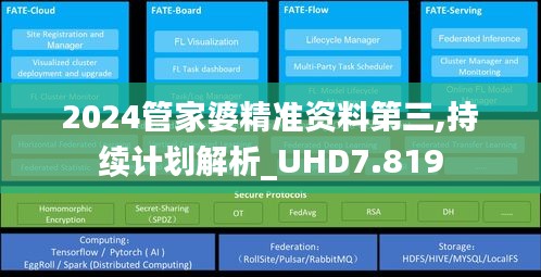 2024管家婆精準資料第三,持續計劃解析_UHD7.819