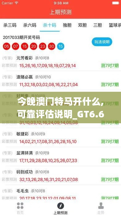 今晚澳門特馬開什么,可靠評估說明_GT6.635