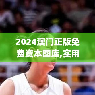 2024澳門正版免費(fèi)資本圖庫,實(shí)用性執(zhí)行策略講解_粉絲款1.216