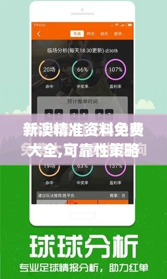 新澳精準資料免費大全,可靠性策略解析_Galaxy9.582