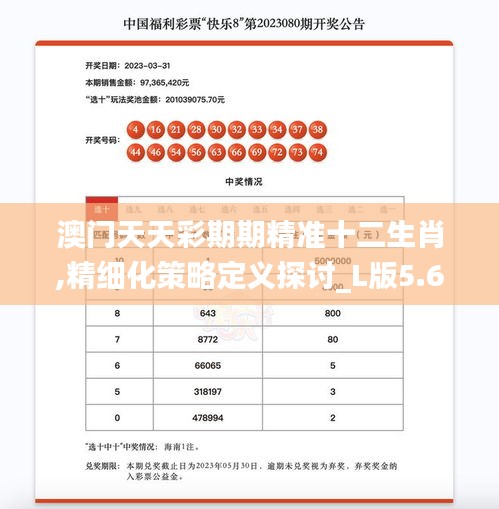 澳門天天彩期期精準十二生肖,精細化策略定義探討_L版5.664