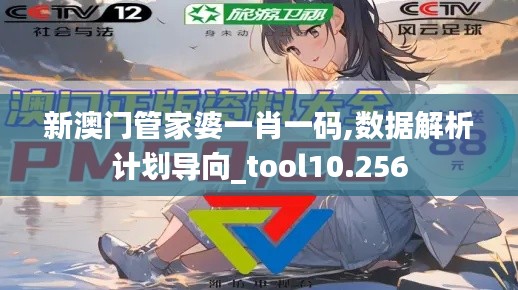 新澳門管家婆一肖一碼,數(shù)據(jù)解析計(jì)劃導(dǎo)向_tool10.256