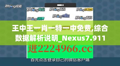 王中王一肖一特一中免費,綜合數據解析說明_Nexus7.911