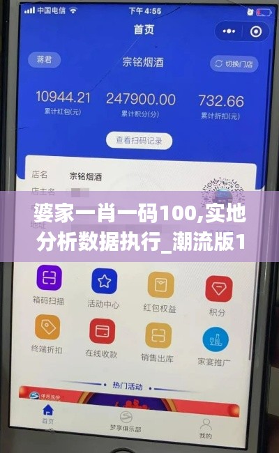 婆家一肖一碼100,實地分析數據執行_潮流版10.455