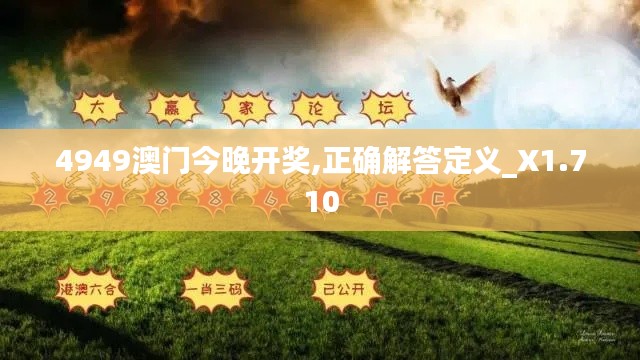 4949澳門今晚開(kāi)獎(jiǎng),正確解答定義_X1.710