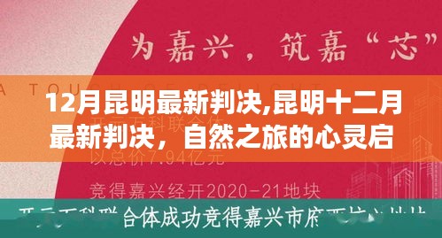 昆明最新判決背后的自然之旅心靈啟示錄