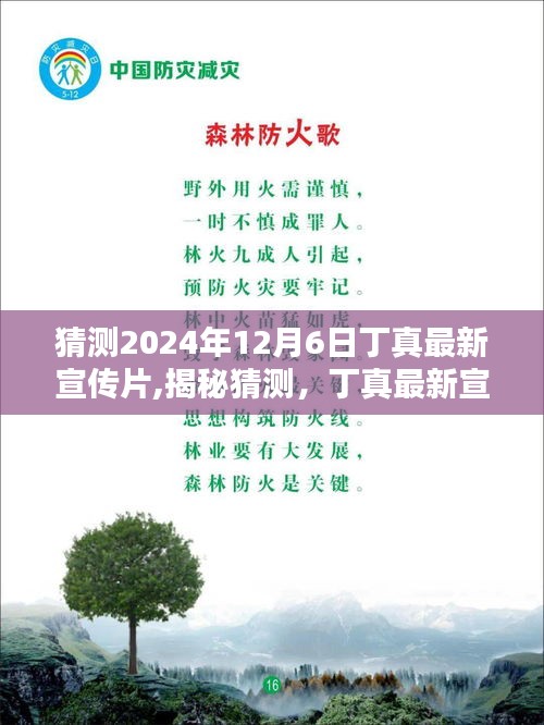 揭秘猜測，丁真最新宣傳片亮相預告 2024年12月6日，純真相遇時刻！