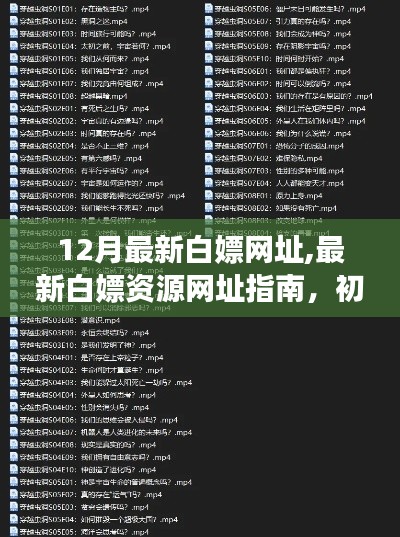 12月最新白嫖網址大全，從初學者到進階用戶的資源獲取指南