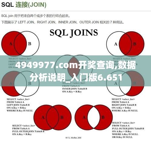 4949977.соm開(kāi)獎(jiǎng)查詢(xún),數(shù)據(jù)分析說(shuō)明_入門(mén)版6.651