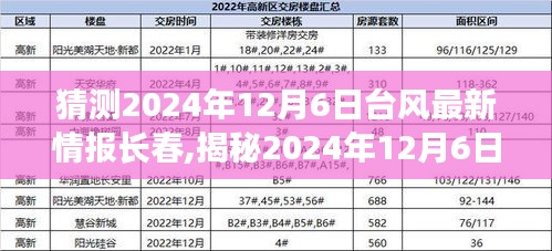 揭秘2024年12月6日臺風最新動態，長春備戰，臺風預警與應對措施全解析