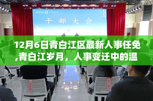 青白江區人事任免揭曉，溫情故事中的歲月變遷