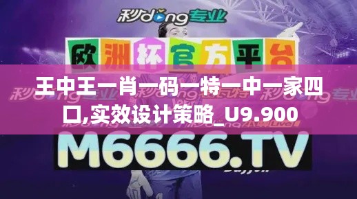 王中王一肖一碼一特一中一家四口,實(shí)效設(shè)計(jì)策略_U9.900