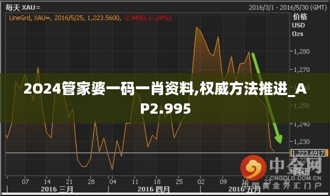 2O24管家婆一碼一肖資料,權威方法推進_AP2.995