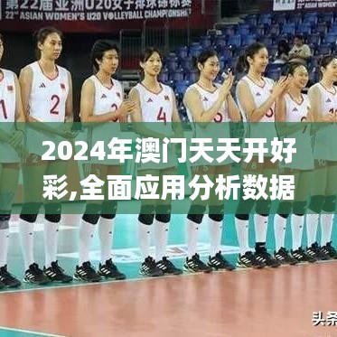 2024年澳門天天開好彩,全面應用分析數據_安卓款2.891