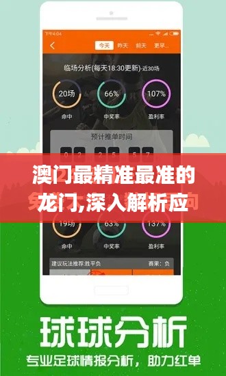 澳門最精準(zhǔn)最準(zhǔn)的龍門,深入解析應(yīng)用數(shù)據(jù)_鉆石版110.432