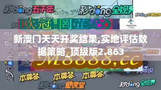 新澳門天天開獎結果,實地評估數據策略_頂級版2.863