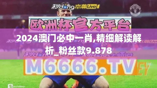 2024澳門必中一肖,精細解讀解析_粉絲款9.878