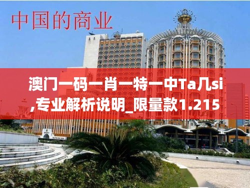 澳門一碼一肖一特一中Ta幾si,專業解析說明_限量款1.215