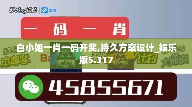 白小姐一肖一碼開獎,持久方案設計_娛樂版5.317