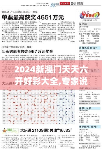 2024新澳門天天六開好彩大全,專家說明意見_OP9.854