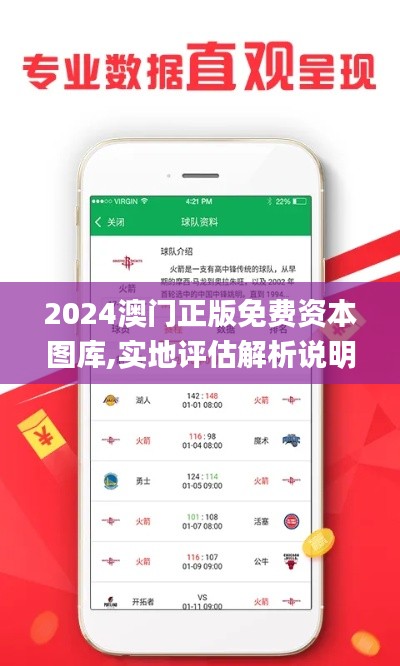 2024澳門正版免費資本圖庫,實地評估解析說明_RemixOS4.532