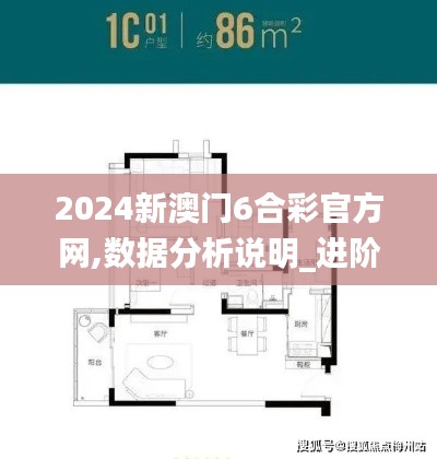 2024新澳門(mén)6合彩官方網(wǎng),數(shù)據(jù)分析說(shuō)明_進(jìn)階款9.575
