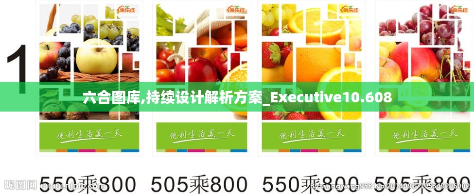 六合圖庫,持續(xù)設(shè)計(jì)解析方案_Executive10.608