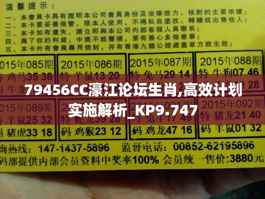 79456CC濠江論壇生肖,高效計(jì)劃實(shí)施解析_KP9.747