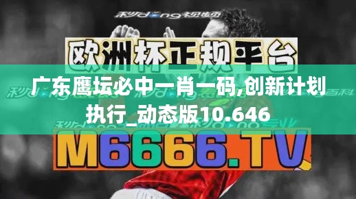 廣東鷹壇必中一肖一碼,創新計劃執行_動態版10.646