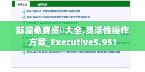 新澳免費資枓大全,靈活性操作方案_Executive5.951