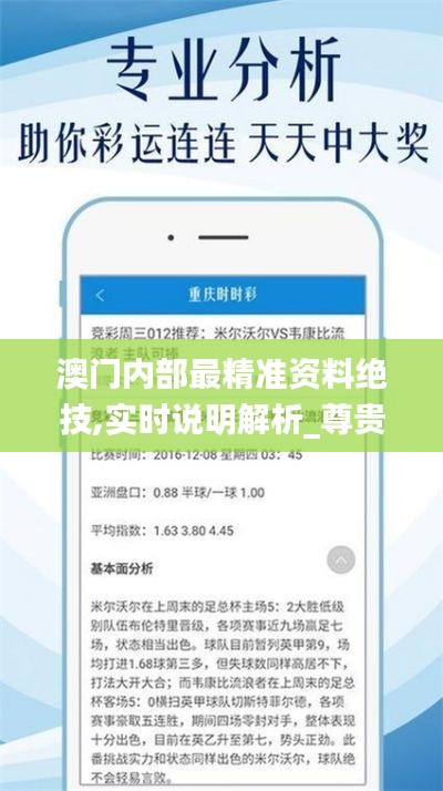 澳門內(nèi)部最精準(zhǔn)資料絕技,實(shí)時說明解析_尊貴款1.199