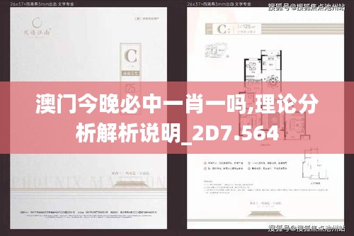 澳門今晚必中一肖一嗎,理論分析解析說明_2D7.564