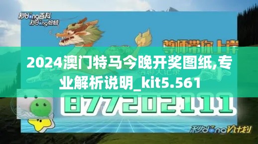 2024澳門特馬今晚開獎圖紙,專業解析說明_kit5.561